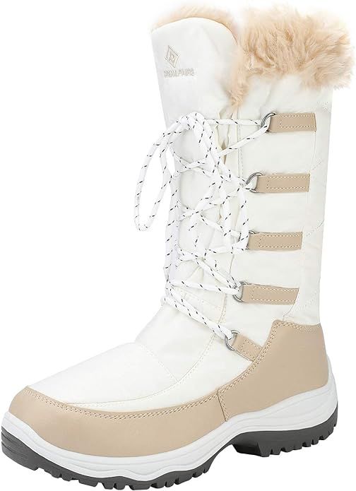 DREAM PAIRS Women's Warm Faux Fur Lined Mid-Calf Winter Snow Boots | Amazon (US)