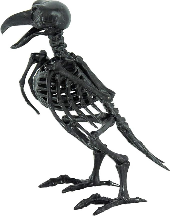 Forum Novelties Small Black Skeleton Raven Decoration | Amazon (US)