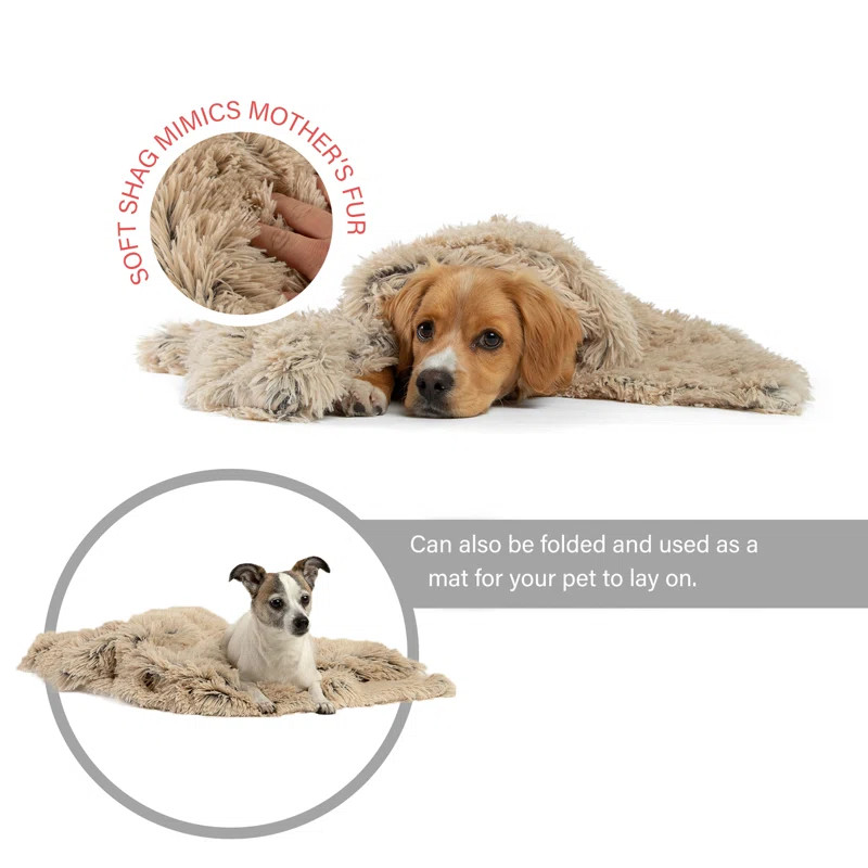 Shag Pet Blanket | Wayfair North America