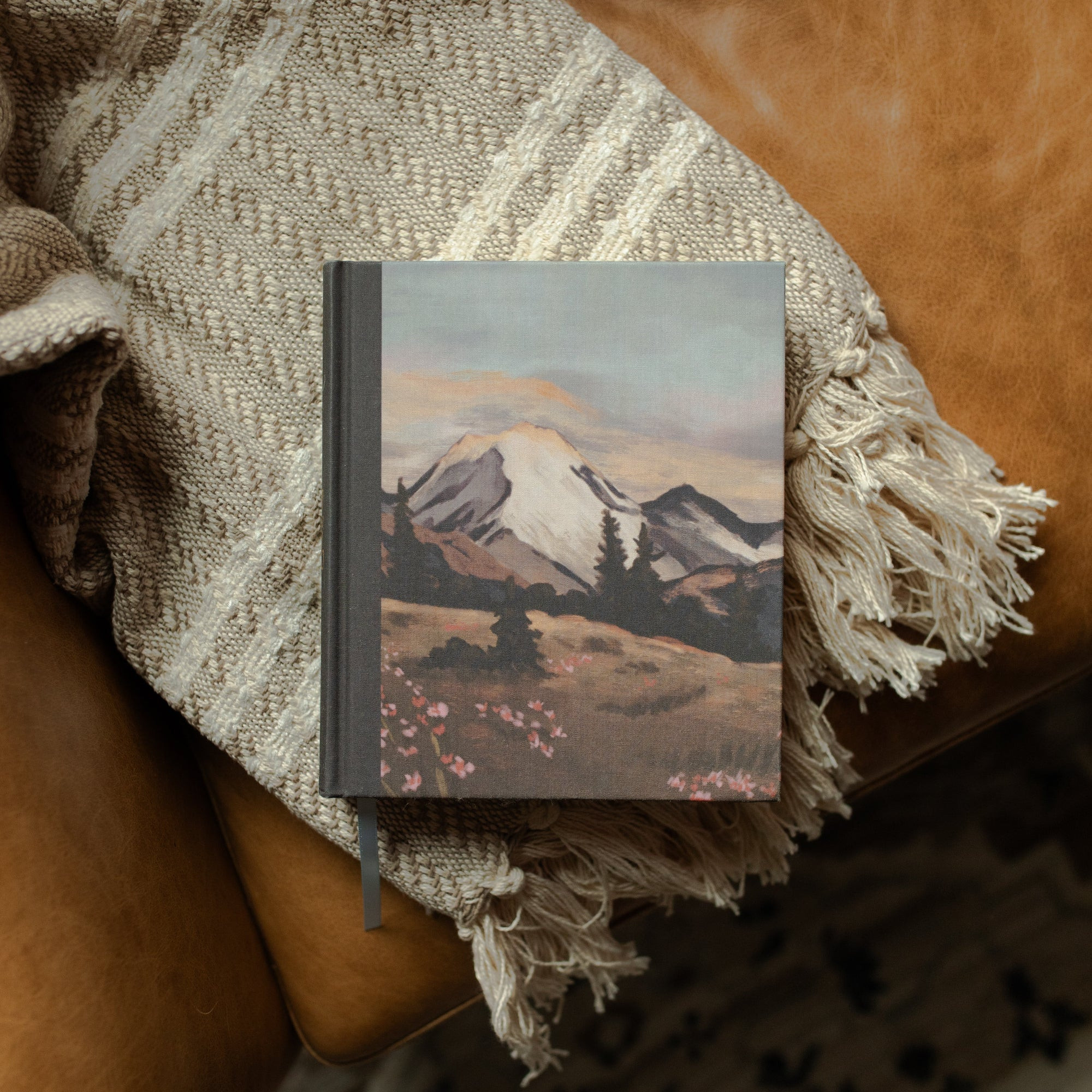 ESV Journaling Bible | Mountains | The Daily Grace Co.