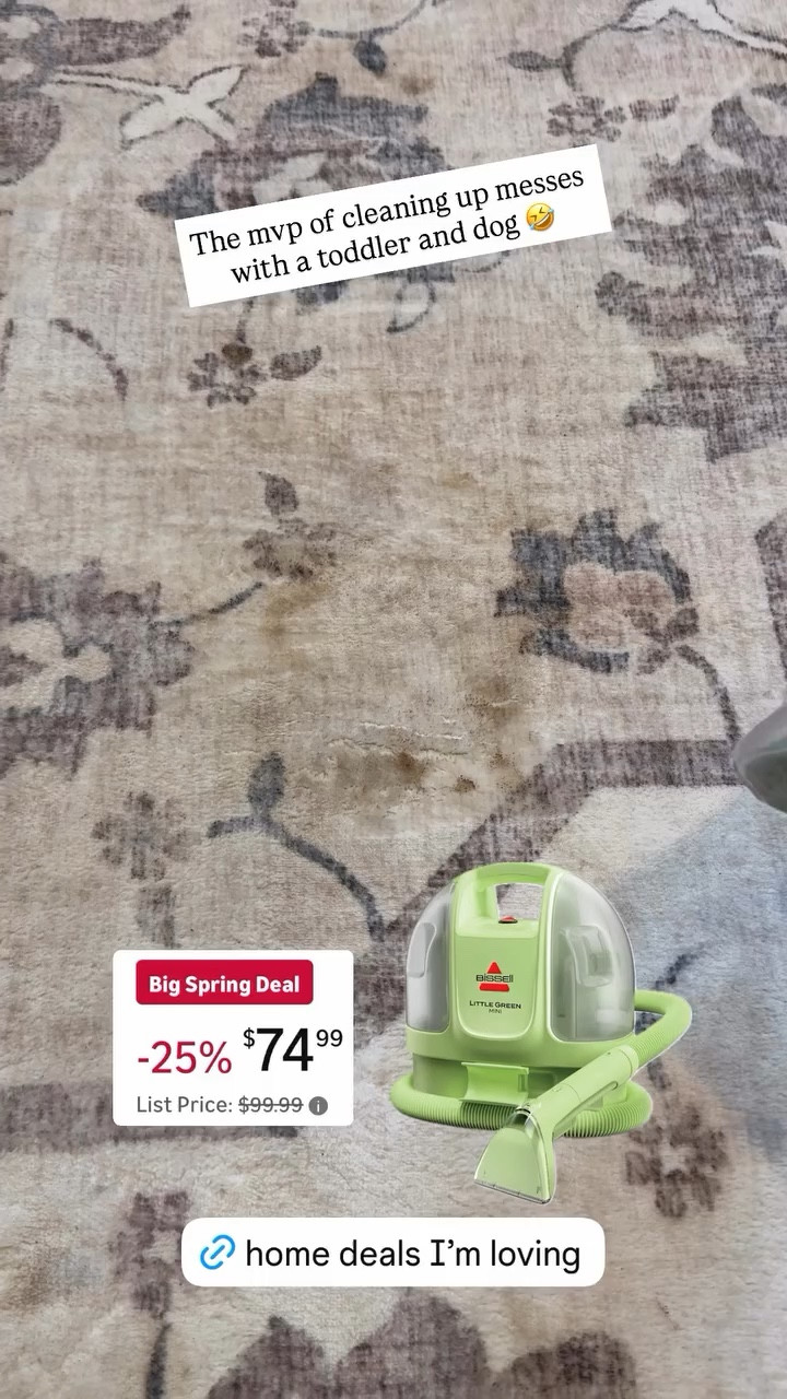 The mvp of cleaning up messes with a toddler and dog!🤣 

 