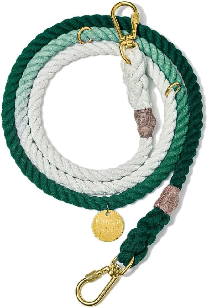 Found My Animal - Teal Ombre Cotton Rope Dog Leash, (Medium) - Heavy Duty Dog Training Leash - Ad... | Amazon (US)