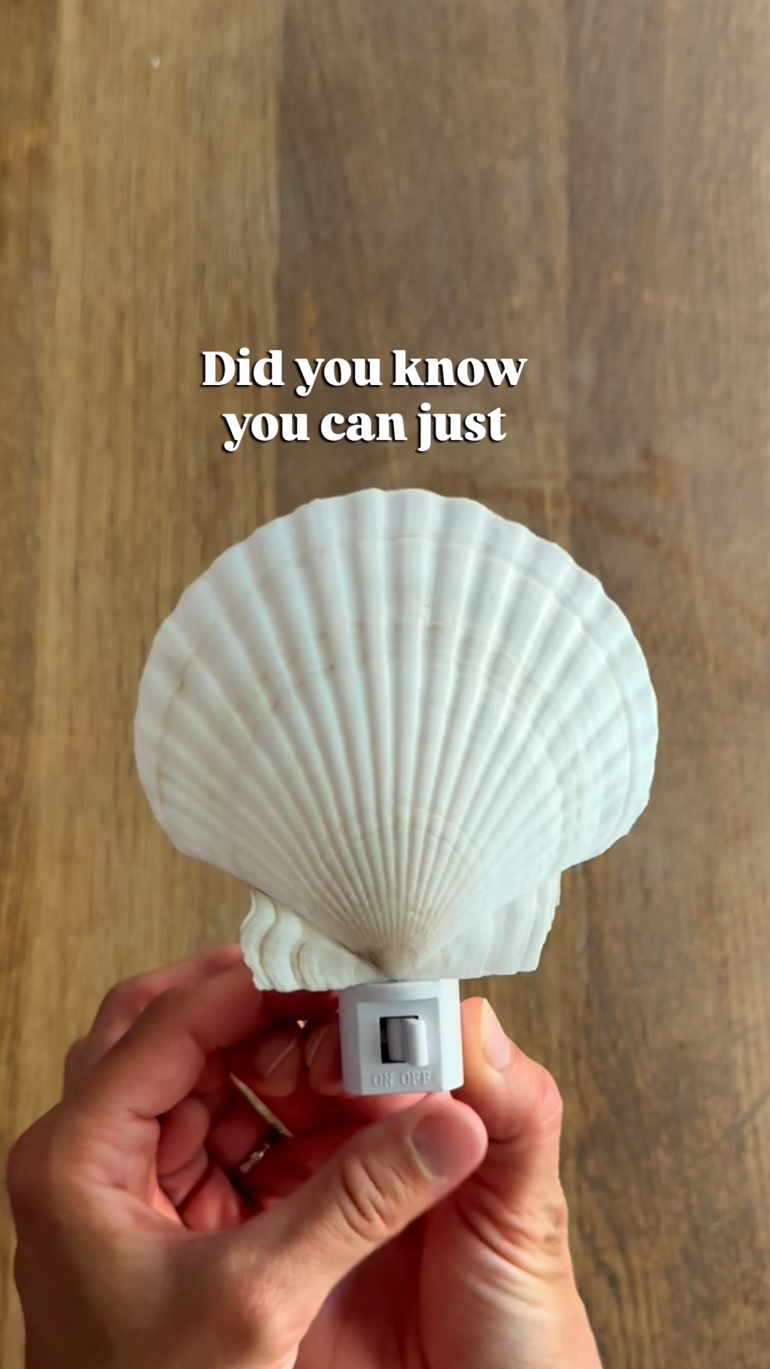 Make your seashell night light! 🐚😍
Just a tip: E600 is very strong but takes a while to dry. Try propping the shell on something while it dries!

#LTKSeasonal #LTKHome #LTKSaleAlert