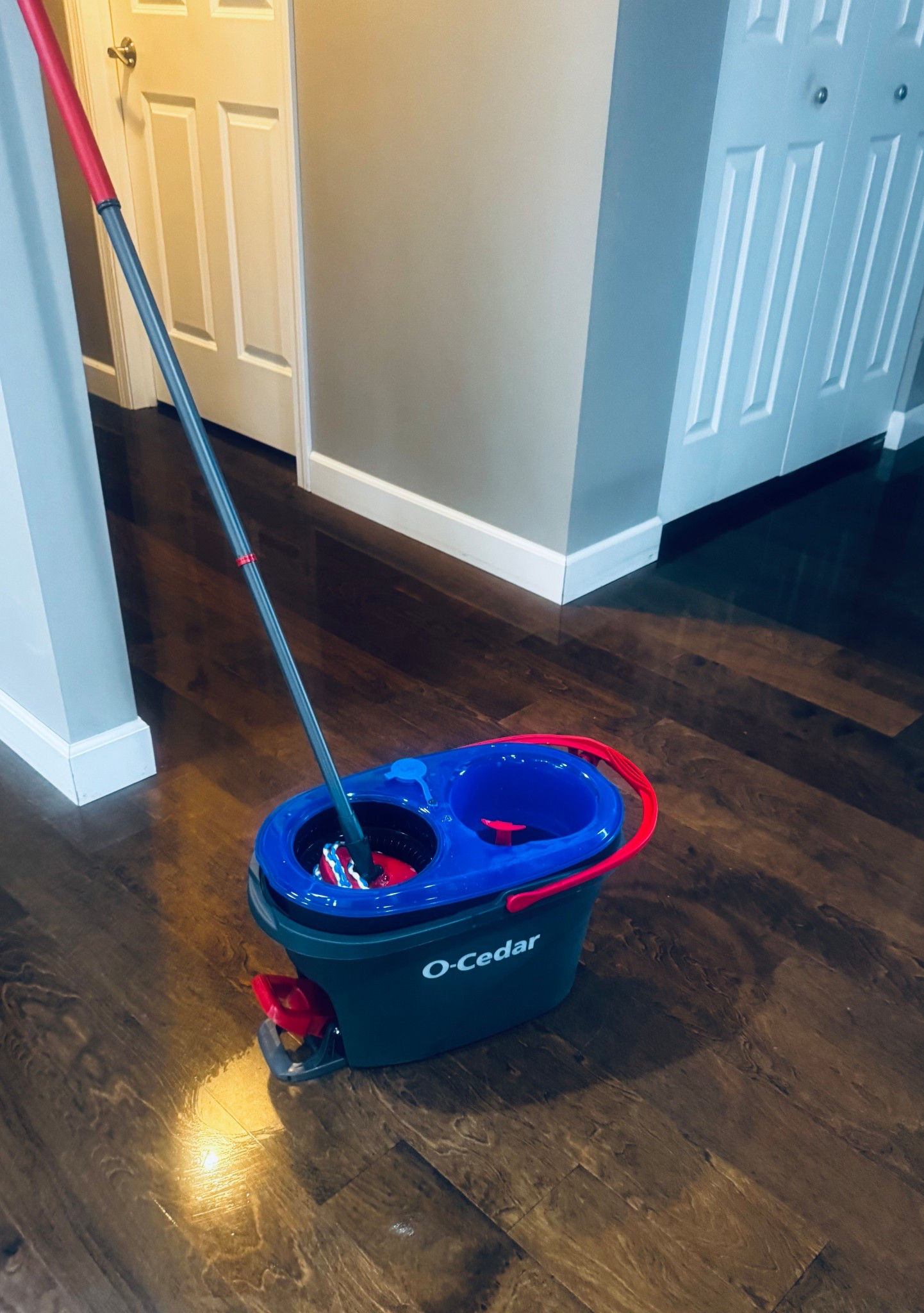 The mop and bucket set is a game changer!!!!

#LTKmomlife #LTKHome #LTKOver40