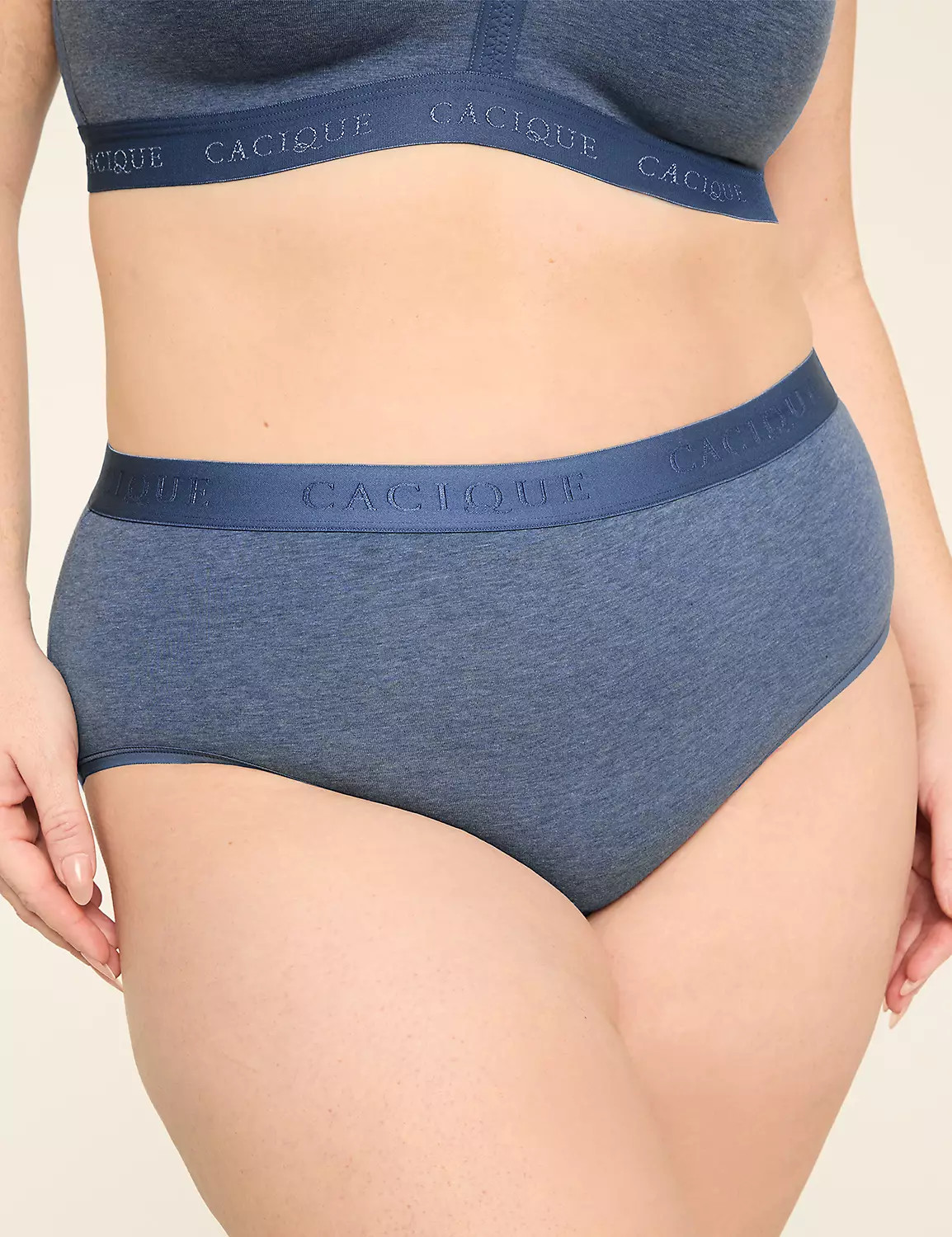 Cotton High-Leg Brief Panty With Wide Waistband | Lane Bryant (US)