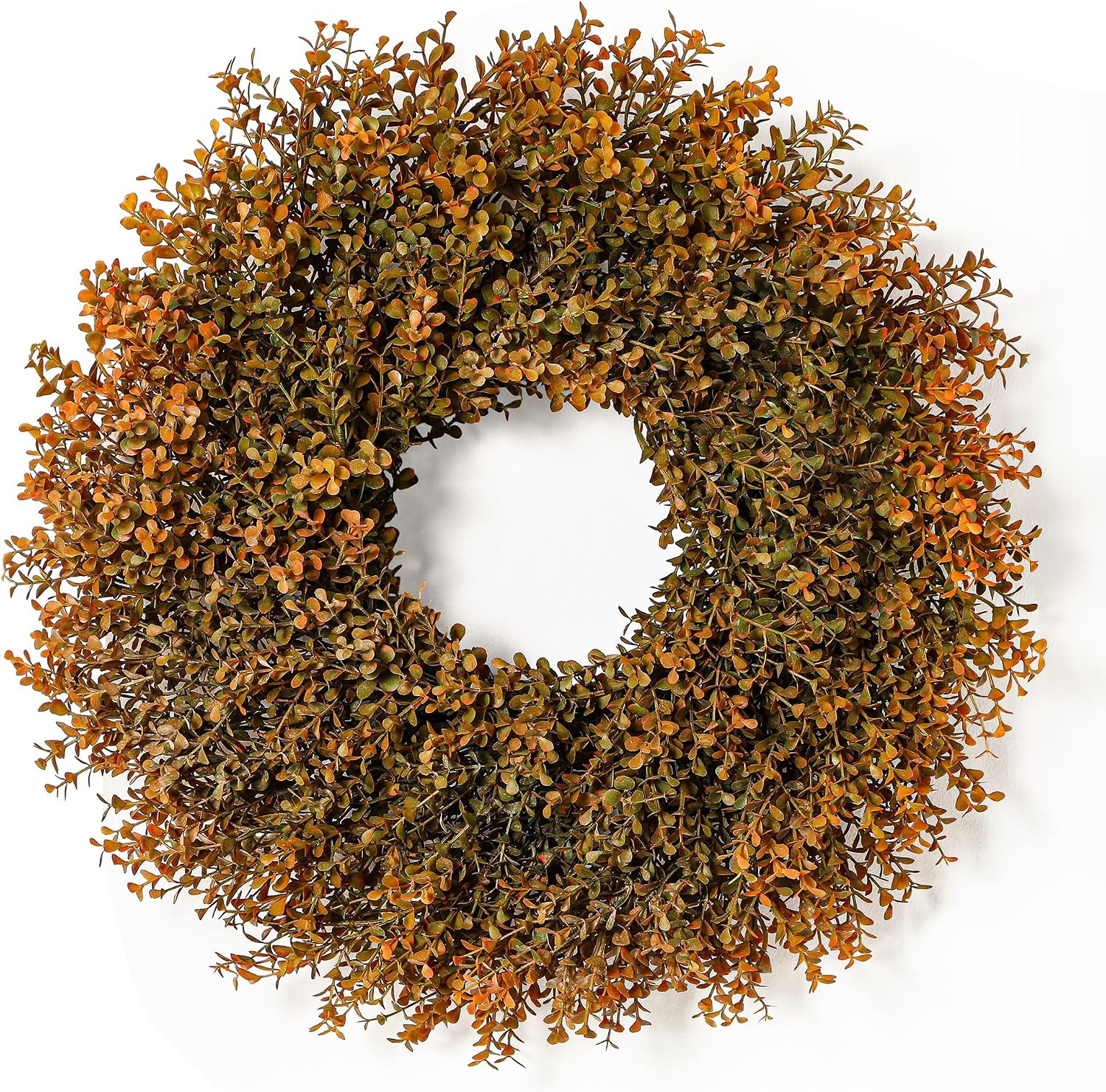 26'' Lush Fall Wreath for Front Door, Faux Autumn Boxwood Wreath Outdoor | Amazon (US)