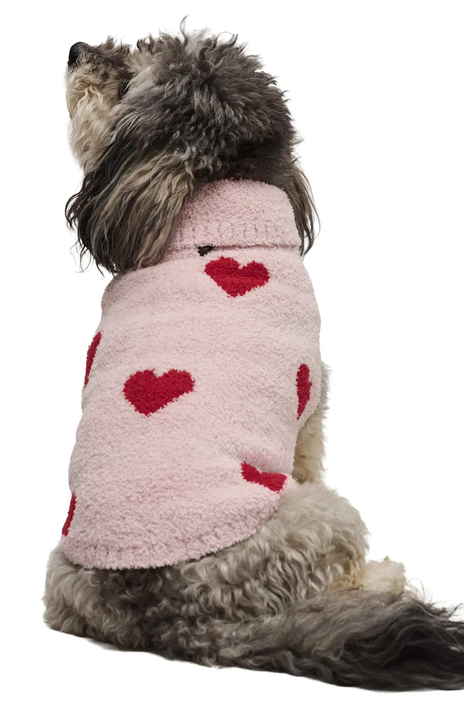 CozyChic® Heart Print Pet Sweater | Nordstrom