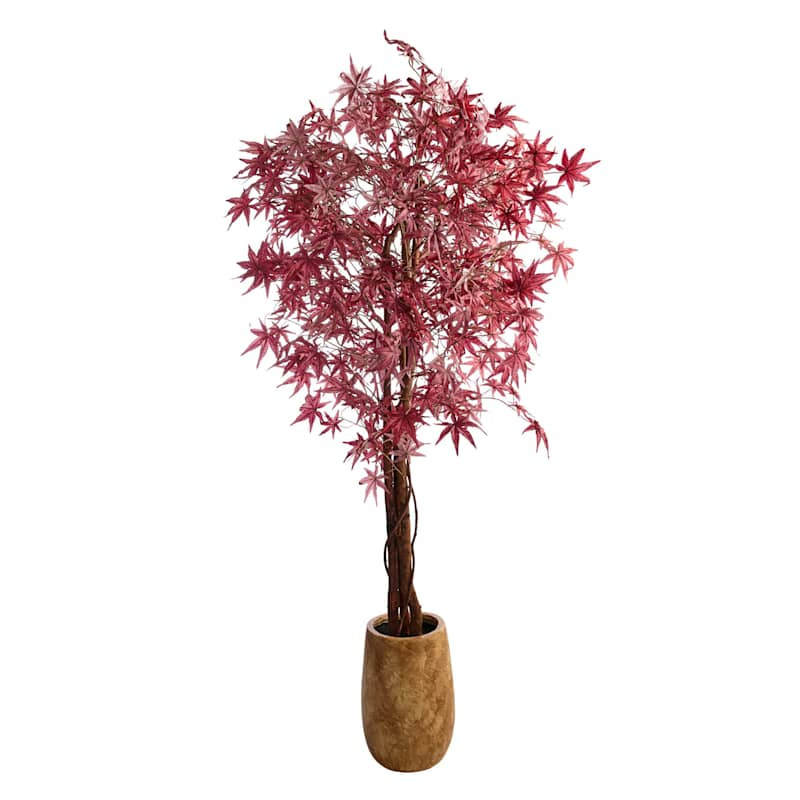 Red Maple Tree in Plastic Pot, 72" | At Home