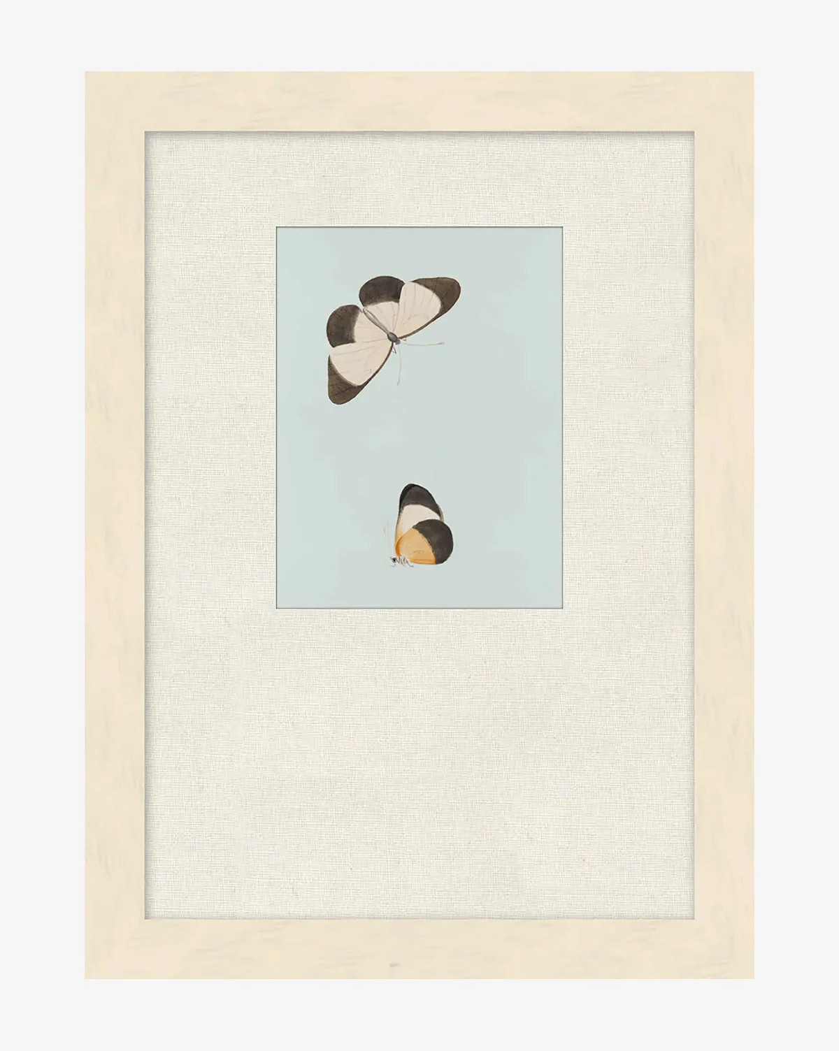 Butterflies Study I | McGee & Co. (US)