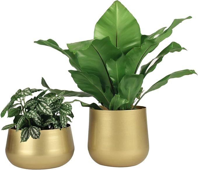 Vixdonos Gold Metal Flower Pots Brass-Toned Garden Planters, 7.1/6.3 Inch Indoor Round Succulent ... | Amazon (US)