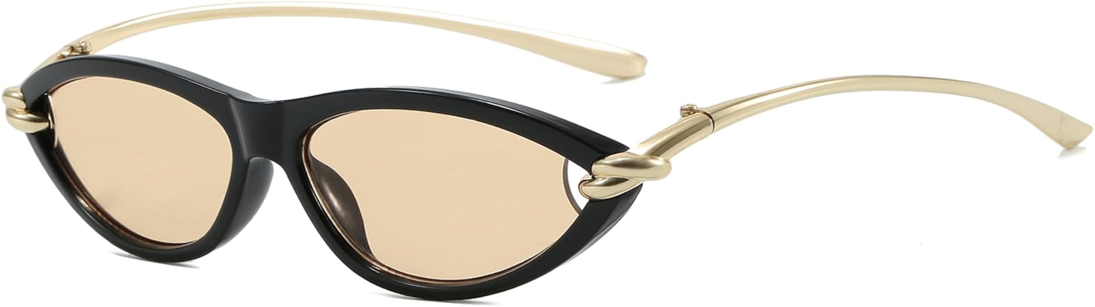 Retro Cat Eye Sunglasses for Women Trendy Narrow Oval Sun Glasses 70s Vintage Shades | Amazon (US)