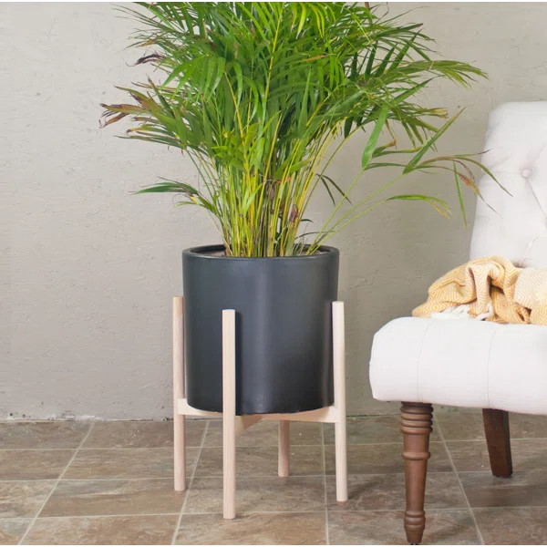 Isabelle Planter | Wayfair North America
