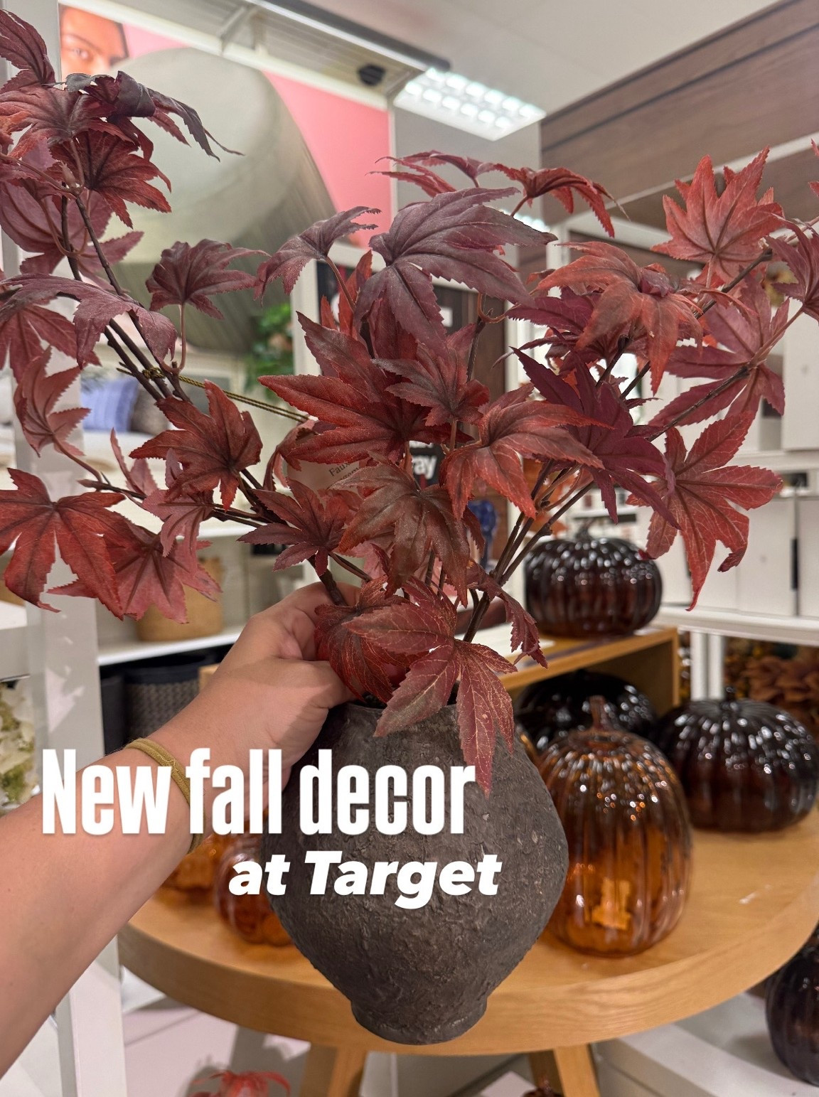New fall decor at Target!

#LTKSeasonal #LTKHome #LTKSaleAlert