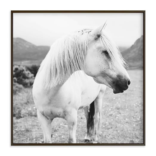 Minted for West Elm - Field Horse | West Elm (US)