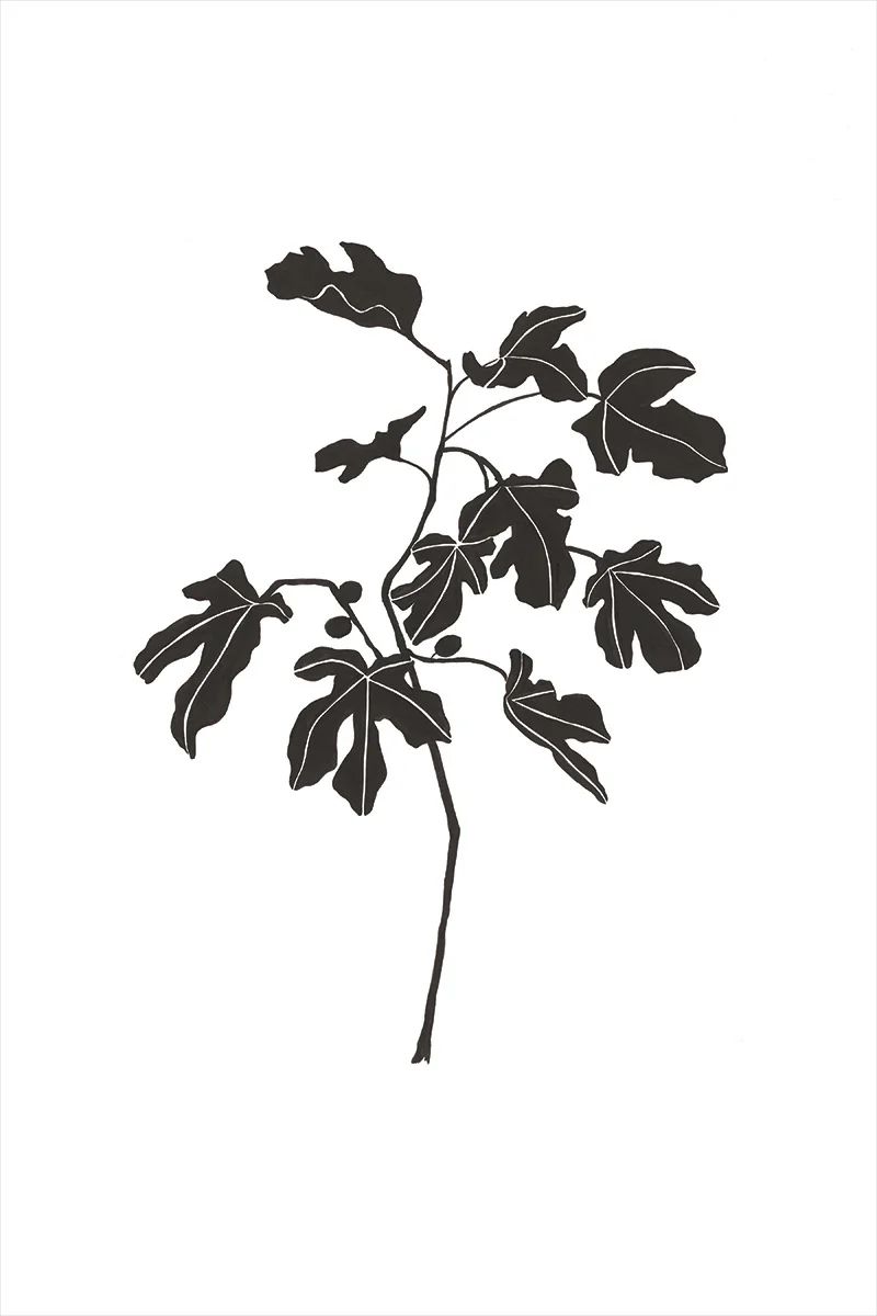 Fig Leaves I | Juniper Print Shop