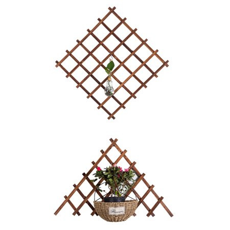 Wood Wall Trellis Garden Flower Plant Climbing, Expandable Garden Trellis Plant Support Willow Latti | Walmart (US)