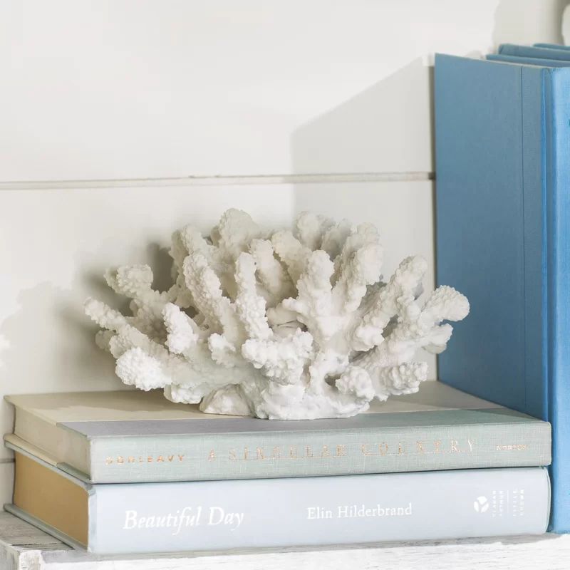 Kosta Coral Decor Sculpture | Wayfair Professional