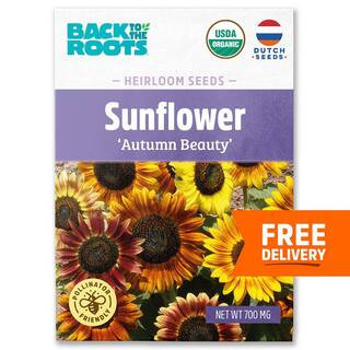 Organic Autumn Beauty Sunflower Seed (1-Pack) | The Home Depot