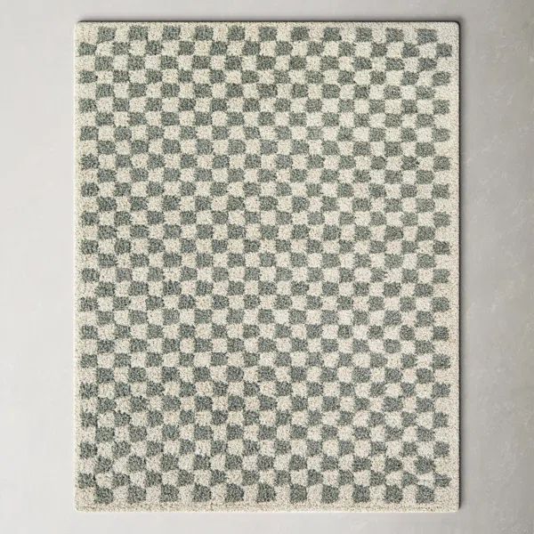 Walker Checkered Sage/Cream Shag Area Rug | Wayfair North America