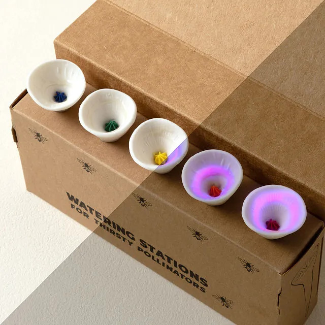 Ceramic Bee Drinking Cup - Set of 5 | UncommonGoods