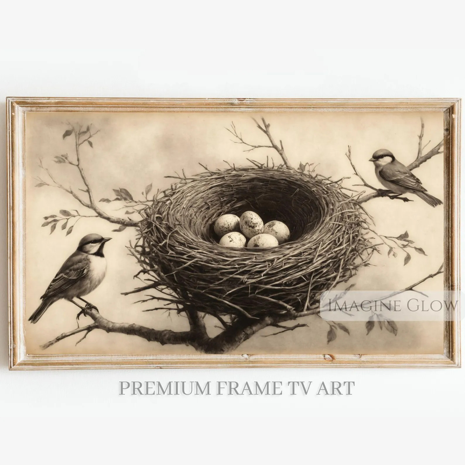 Vintage Bird Nest Frame TV Art: Nature Inspired Spring Decor (Digital Download) | Etsy (US)