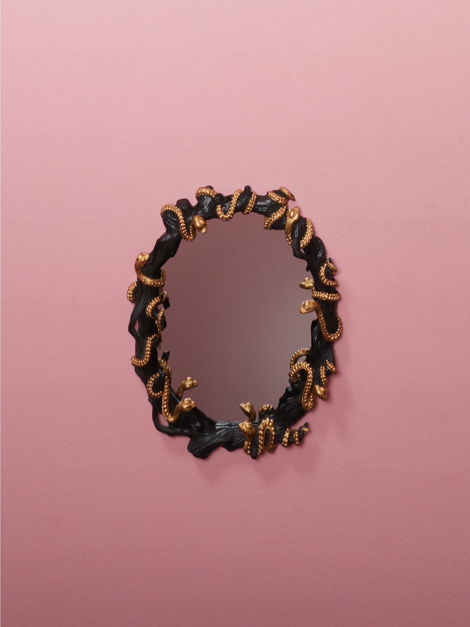 16x25 Hanging Snake Wall Mirror | Seasonal Decor | HomeGoods | HomeGoods