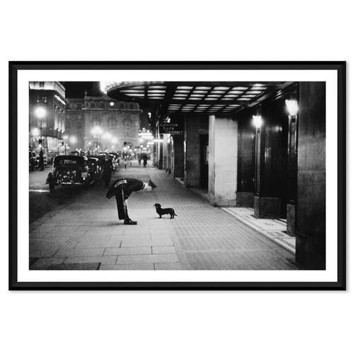 Photos by Getty Images Kurt Hutton Dachshund Dog Black Frame Photograph - 25x17 | Kathy Kuo Home