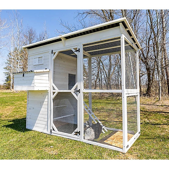 Zylina  Modern Walk-In Hen House Chicken Coop, 8 Chicken Capacity, Modern White | Tractor Supply