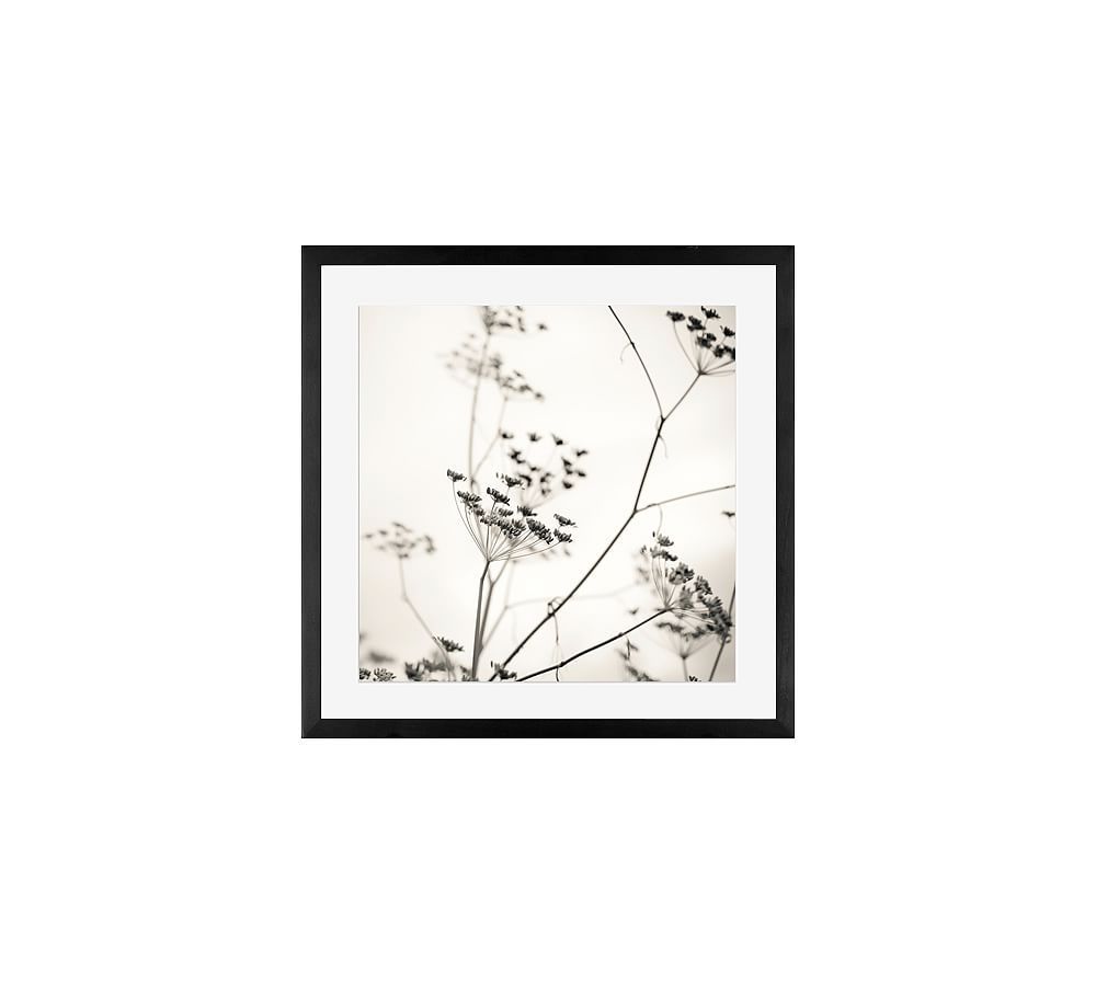 Nature's Drawing by Lupen Grainne | Pottery Barn (US)