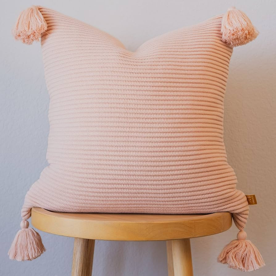 Lumi Living 100% Soft Cotton Raised Stripes Textured Rib Knit Throw Pillow Cover with Tassels (18... | Amazon (US)