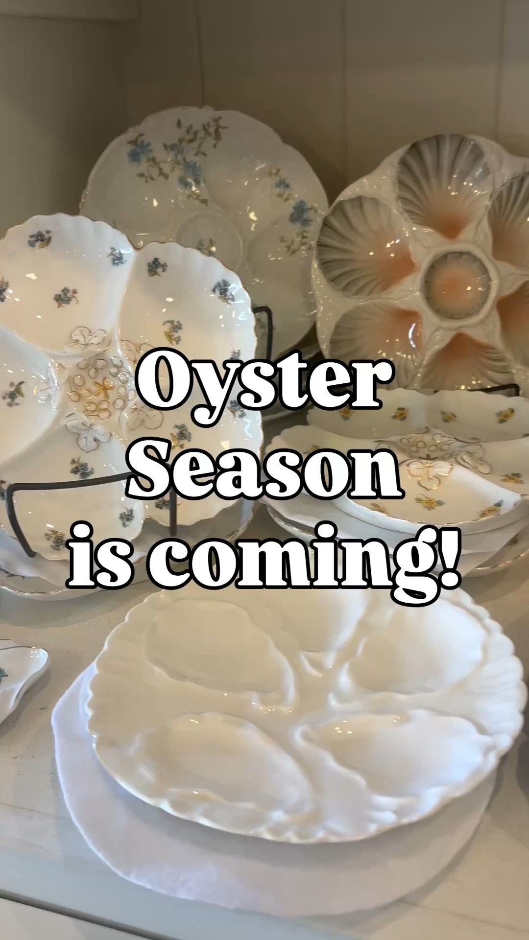 I didn’t know I needed antique oyster plates until now…” 🦪✨

Tell me why these instantly made my kitchen feel like a seaside villa in the South of France…
like imagine serving oysters on actual oyster plates instead of a regular dish?? The drama. The elegance. The personality.

These are giving:
coastal grandmother 🍋
European summer hosting 🍷
found-it-in-a-hidden-antique-shop energy 🗝️

I linked the prettiest ones I could find—each one feels like a little piece of art you can actually use.

Even if you don’t eat oysters… you’re going to want these on display. Trust me.

👉 linked in my LTK

#CoastalStyle
#EuropeanHome
#OldMoneyAesthetic
#VintageFinds
#HomeDecorInspo