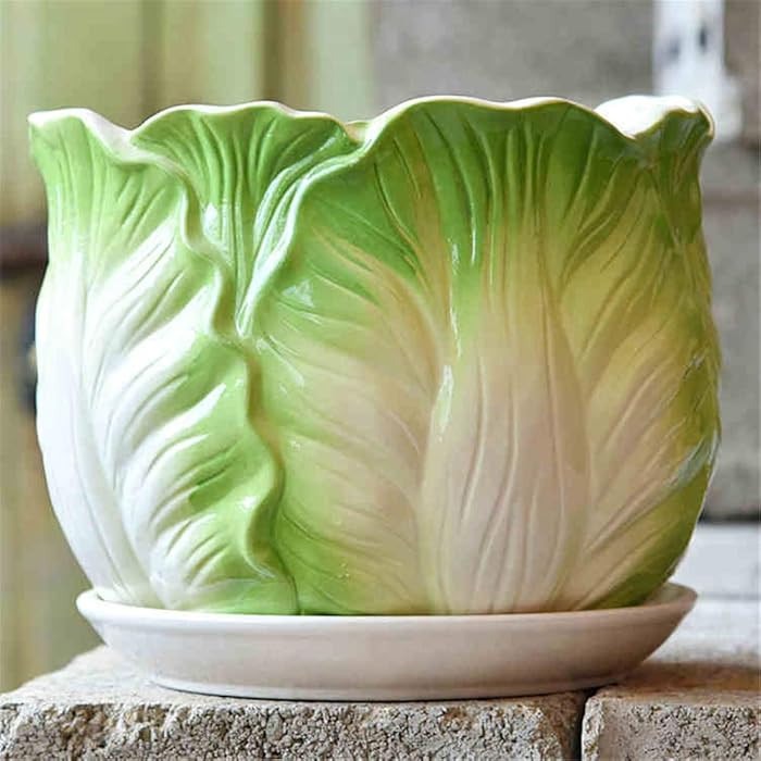 Medium Cabbage Ceramic Flower Pot with Tray Indoor Green Plant Container Flower Pot, Plant Flower... | Amazon (US)