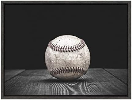 DesignOvation Sylvie Vintage Baseball Framed Canvas by Shawn St. Peter, 18x24 Dark Grey, Transiti... | Amazon (US)