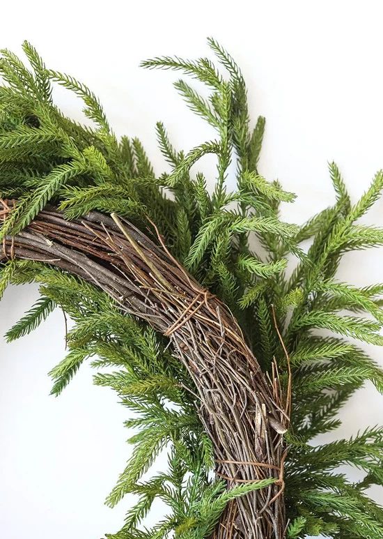 Afloral Real Touch Norfolk Pine Wreath - 24 | Afloral (US)