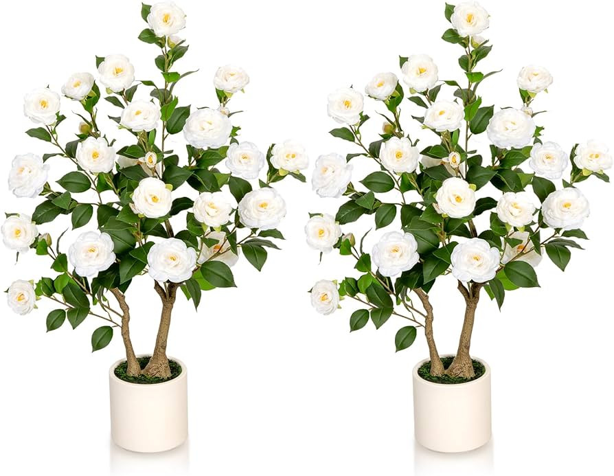 3ft Artificial Camellia Tree 2 Pack, 36'' Tall Faux Camellia Plant with White Flowers, UV Resista... | Amazon (US)