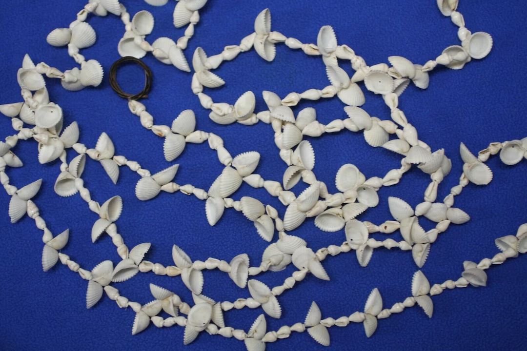 Extra Long Size Seashell Garland Small White Shells Natural - Etsy | Etsy (US)