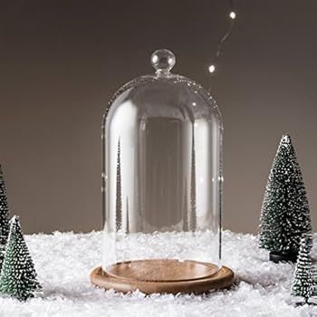 Lights4fun, Inc. Glass Cloche Bell Jar Display Dome with Bamboo Base - 8" x 5" | Amazon (US)