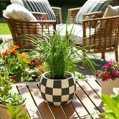 Ebern Designs Checkerboard Rounded Planter, Black/White | Wayfair North America