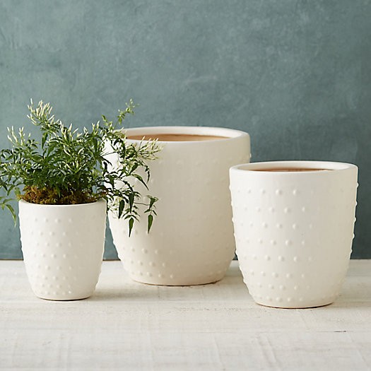 Hobnail Clay Pot | Terrain