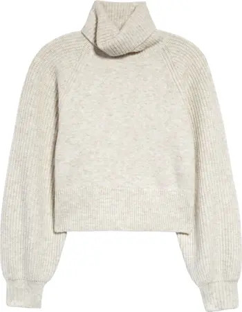 Rib Turtleneck Sweater | Nordstrom