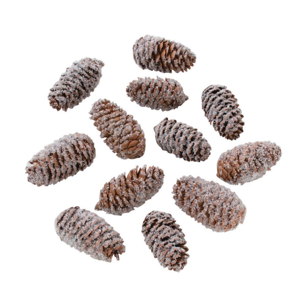 Frosted Natural Pine Cone Asst - Craft Supplies - 12 Pieces | Walmart (US)