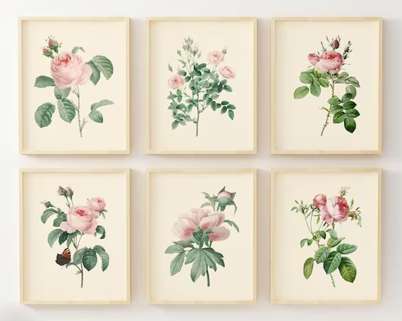 Vintage Pink Roses Wall Art Prints  Set of 6  Botanical | Etsy | Etsy (US)