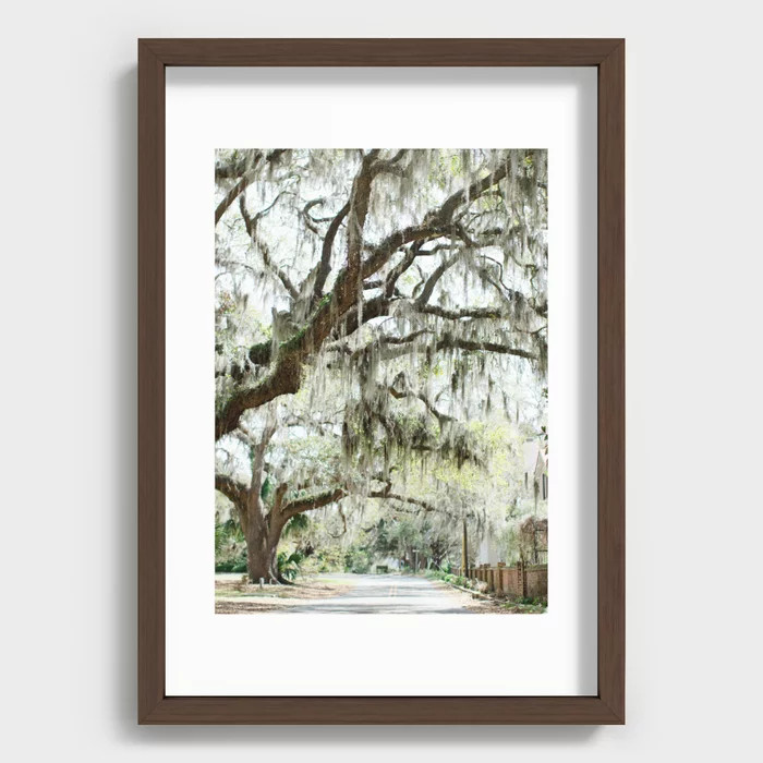Southern Spanish Moss Art Print | Society6