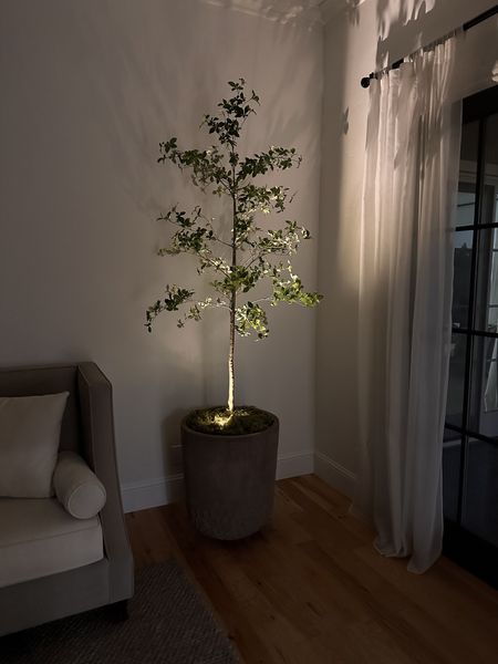 Loving this faux 7ft indoor Japanese quince tree combined with the amazon spotlights and planter moss 

#LTKhome