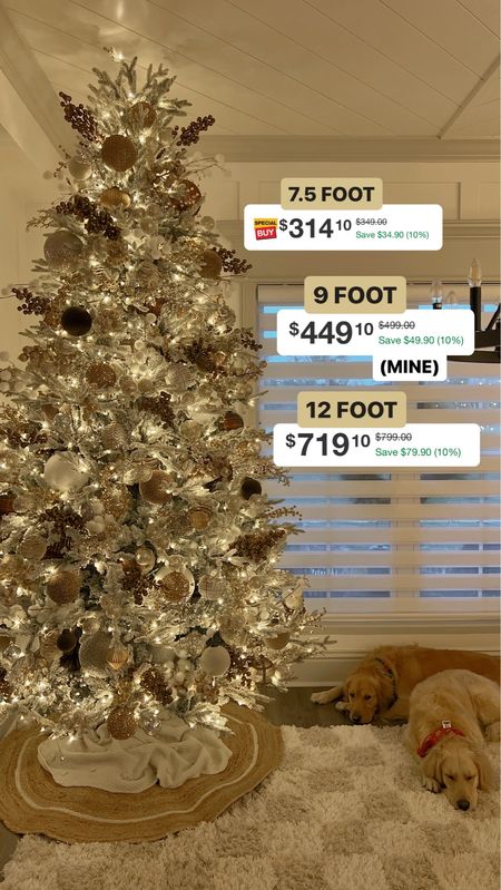 My Christmas tree is on SALE🌲👏🏼🤎 call me crazy but this is the time to buy it for now or next year! I’ve never seen it go on sale and I LOVE IT. 

Home Depot / sale finds / christmas tree / holiday season / Holley Gabrielle 

#LTKHoliday #LTKSeasonal #LTKhome