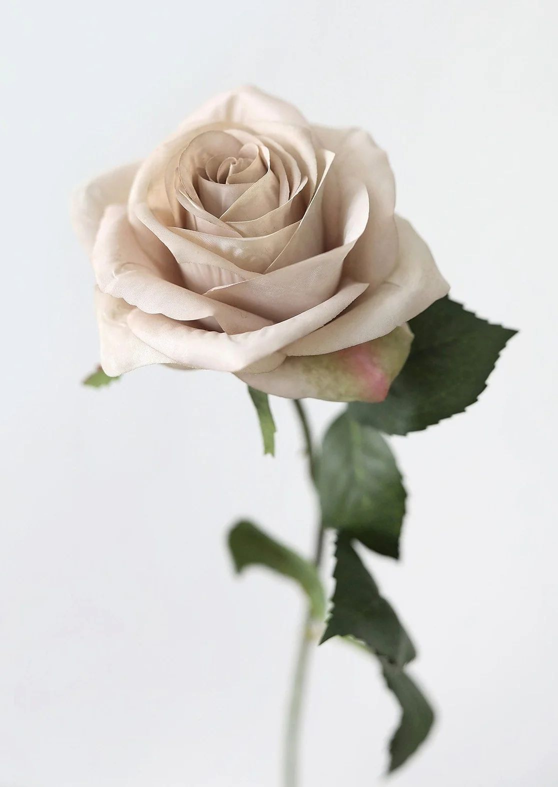 Artificial Flowers Rose in Taupe Beige - 21.5" | Afloral