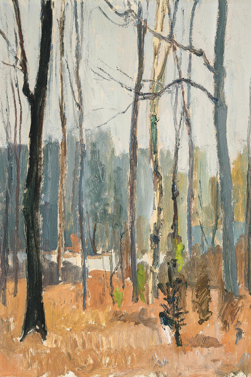 Forest | Juniper Print Shop