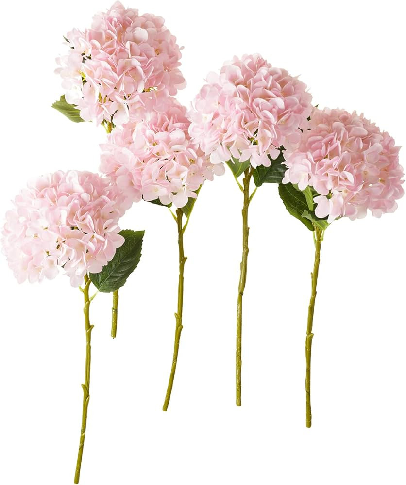 Visit the PARTY JOY Store | Amazon (US)