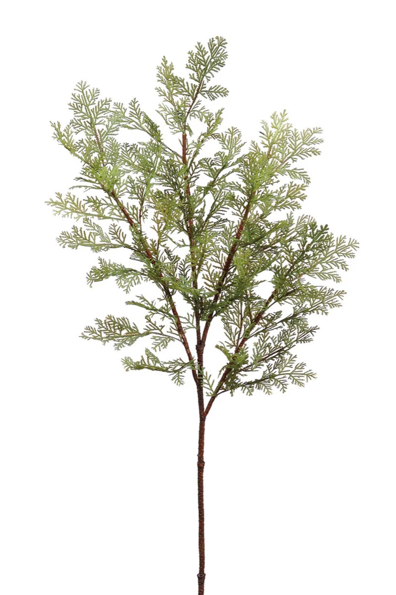 Cedar Branch | Gatehouse No.1