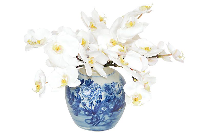 14" White Moth Orchids in Jar, Faux | One Kings Lane